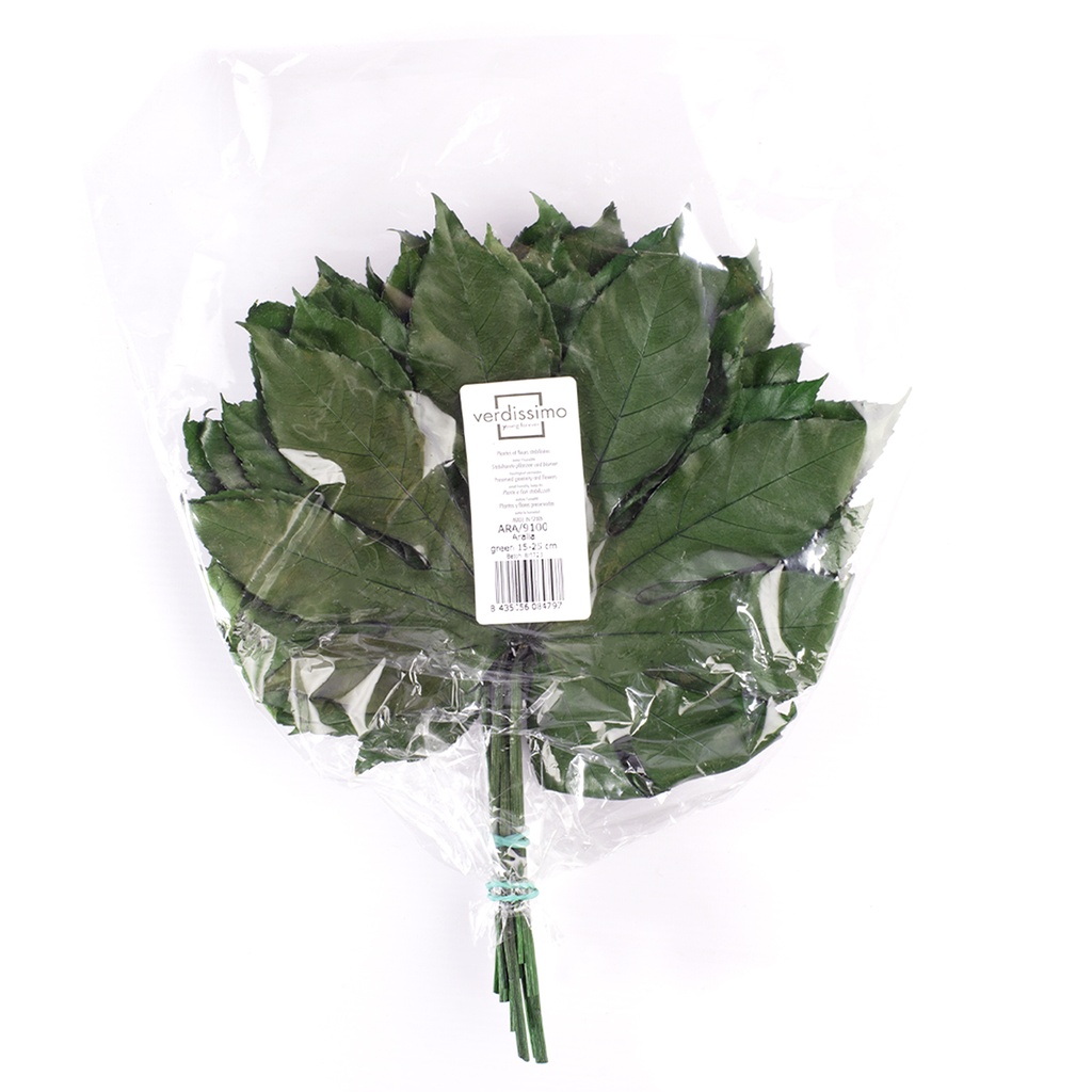 ARA/9100 Feuille d'Aralia stabilisée Vert 5 tiges