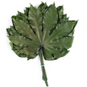 ARA/9100 Feuille d'Aralia stabilisée Vert 5 tiges