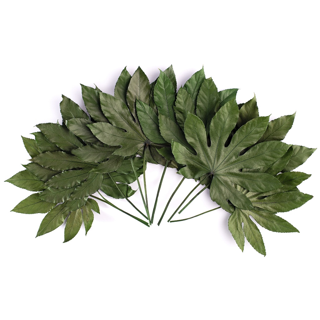 ARA/9100 Feuille d'Aralia stabilisée Vert 5 tiges