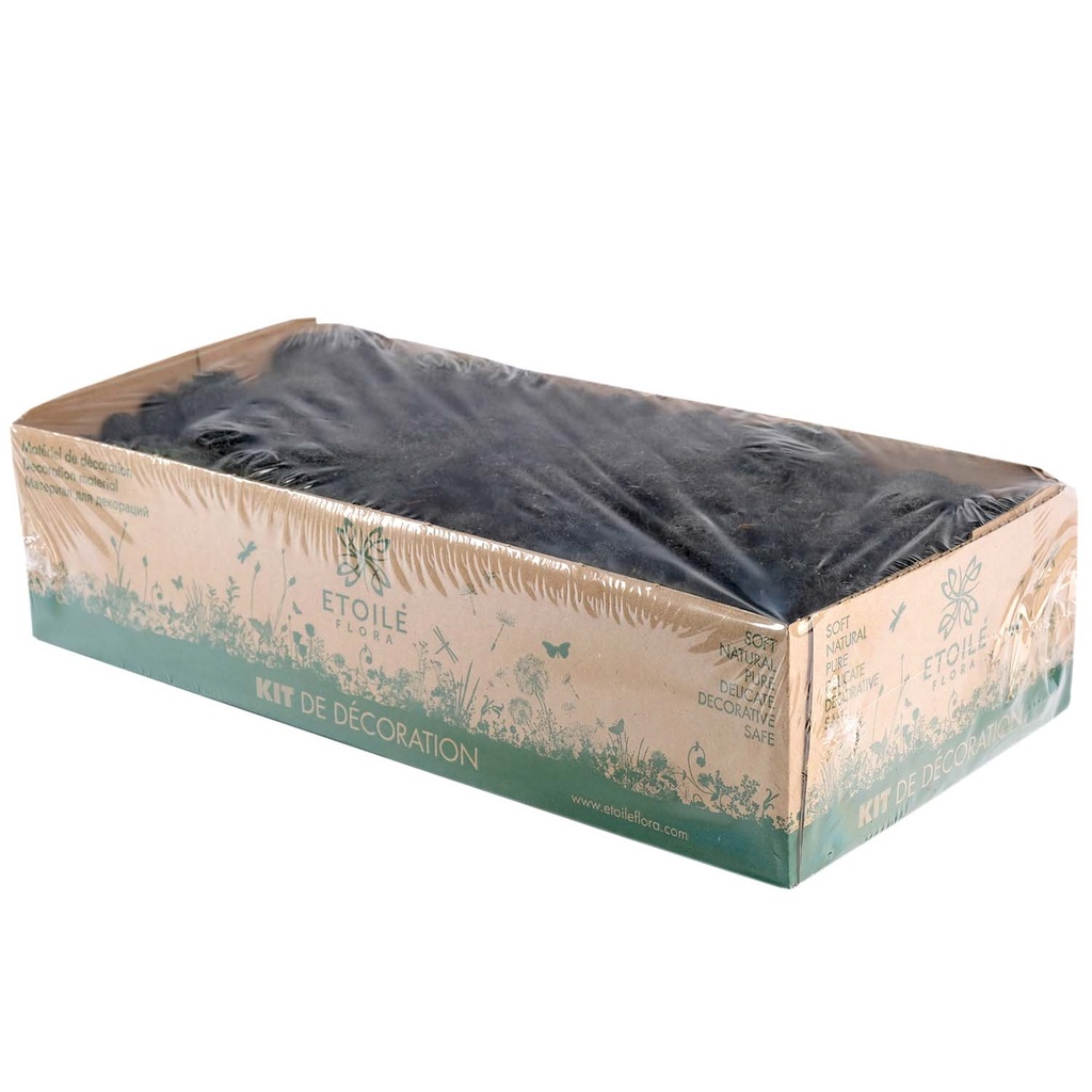 LIC/0552 Lichen stabilisée Noir W-Box 0,5 kg