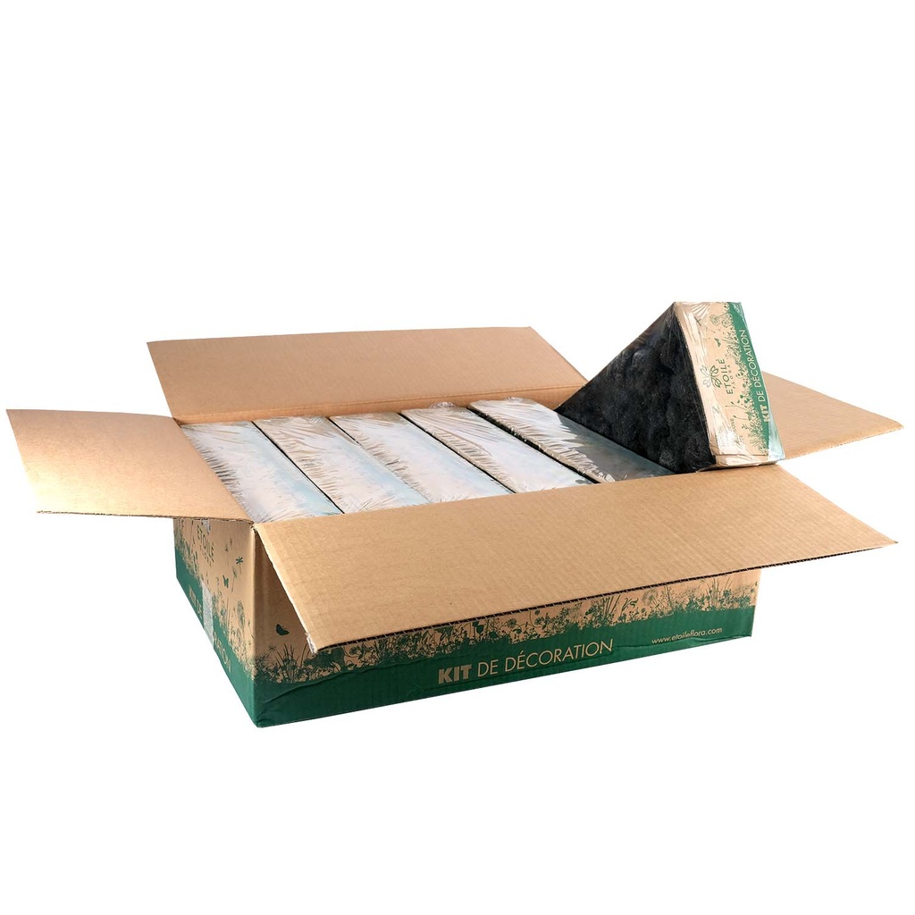 LIC/0552 Lichen stabilisée Noir W-Box 0,5 kg