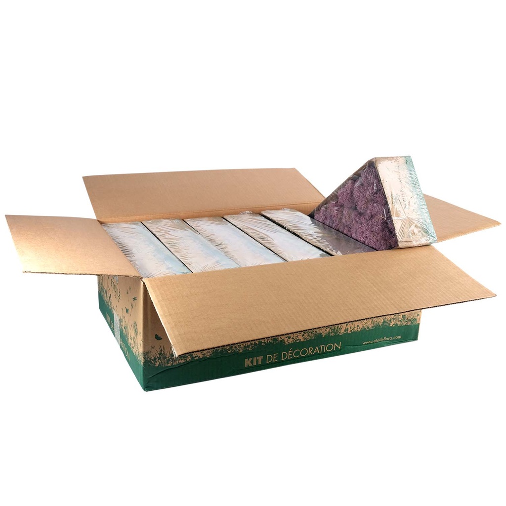 LIC/0553 Lichen stabilisée Erica W-Box 0,5 kg