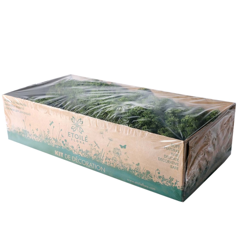 LIC/0554 Lichen stabilisée Vert W-Box 0,5 kg
