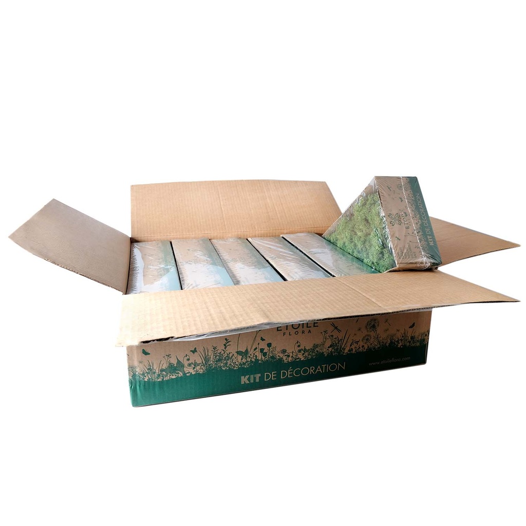 LIC/0554 Lichen stabilisée Vert W-Box 0,5 kg