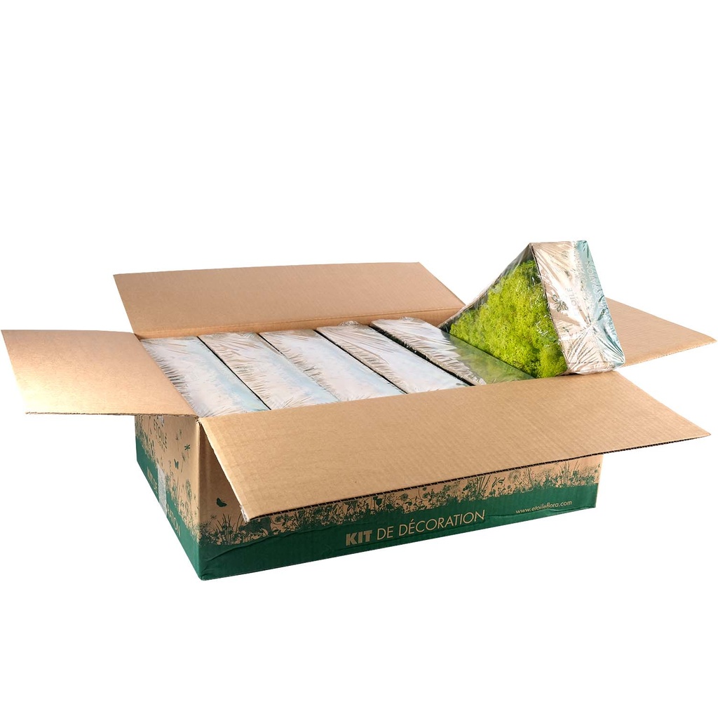 LIC/0555 Lichen stabilisée Printemps W-Box 0,5 kg