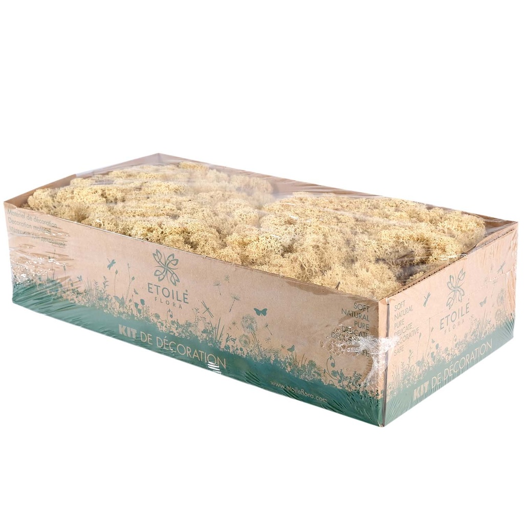 LIC/0556 Lichen stabilisée Nature W-Box 0,5 kg
