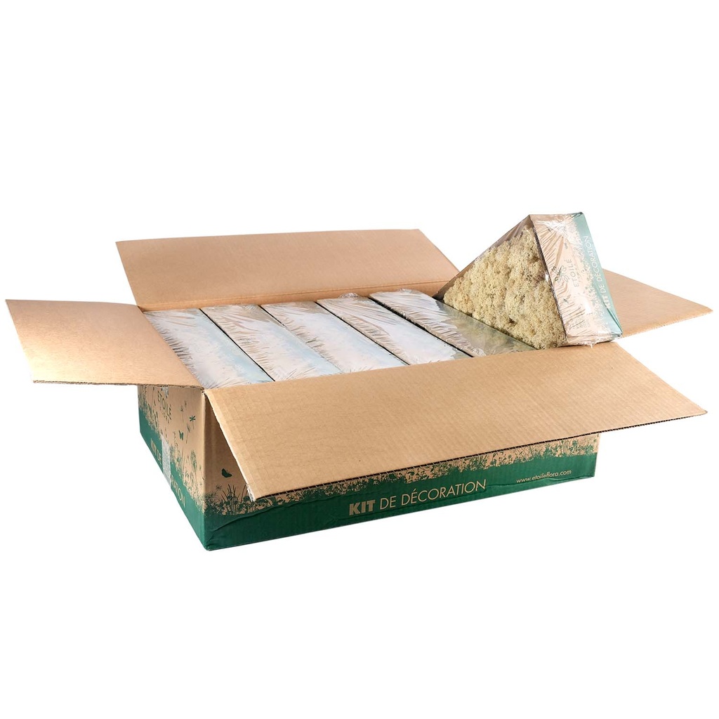 LIC/0556 Lichen stabilisée Nature W-Box 0,5 kg