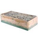 LIC/0559 Lichen stabilisée Bleu Glace W-Box 0,5 kg