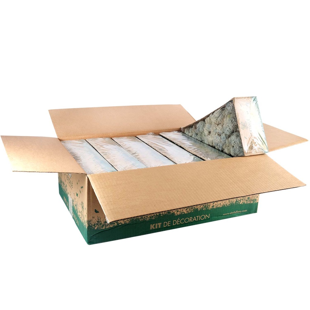 LIC/0559 Lichen stabilisée Bleu Glace W-Box 0,5 kg