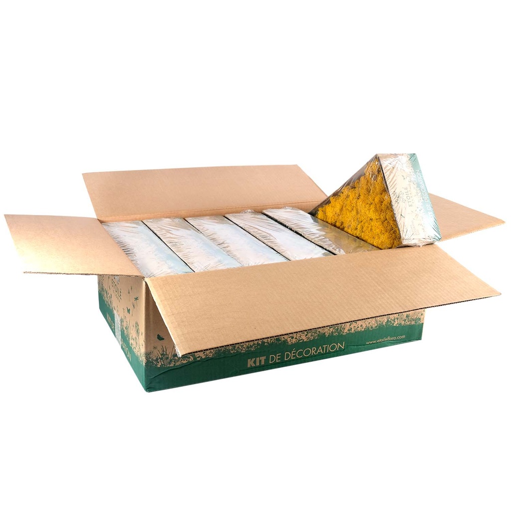 LIC/0560 Lichen stabilisée Jaune W-Box 0,5 kg