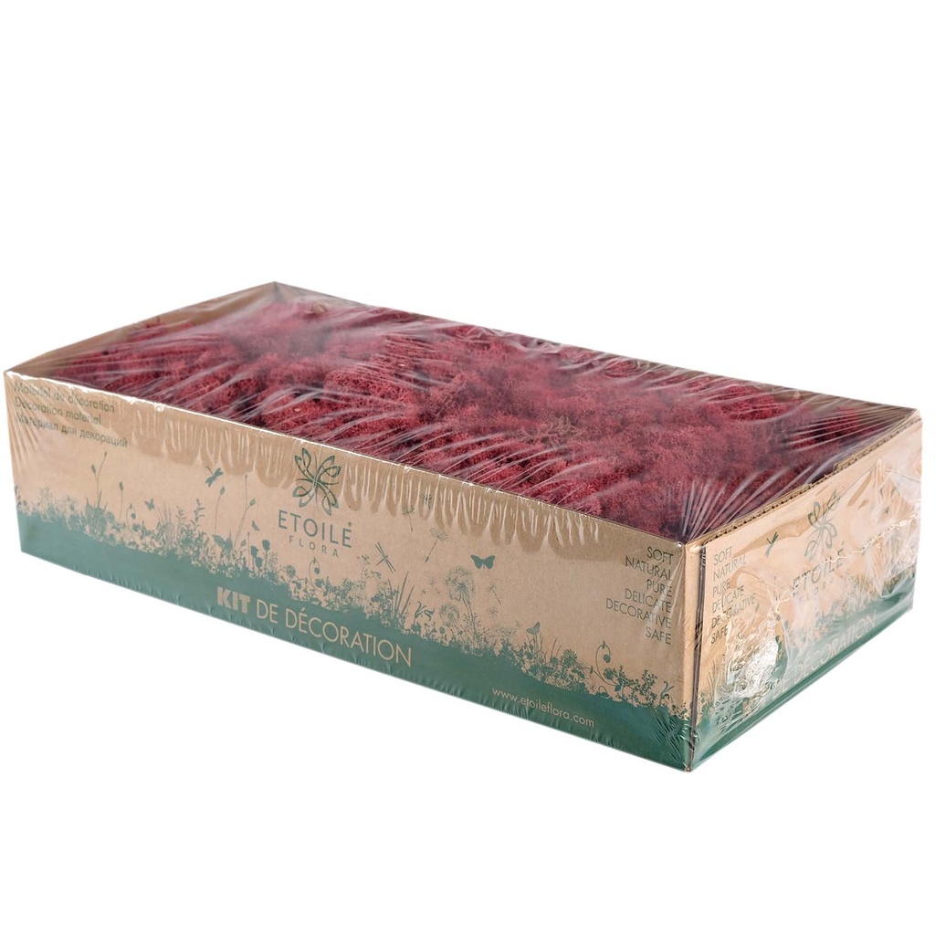 LIC/0563 Lichen stabilisée Bordeaux W-Box 0,5 kg