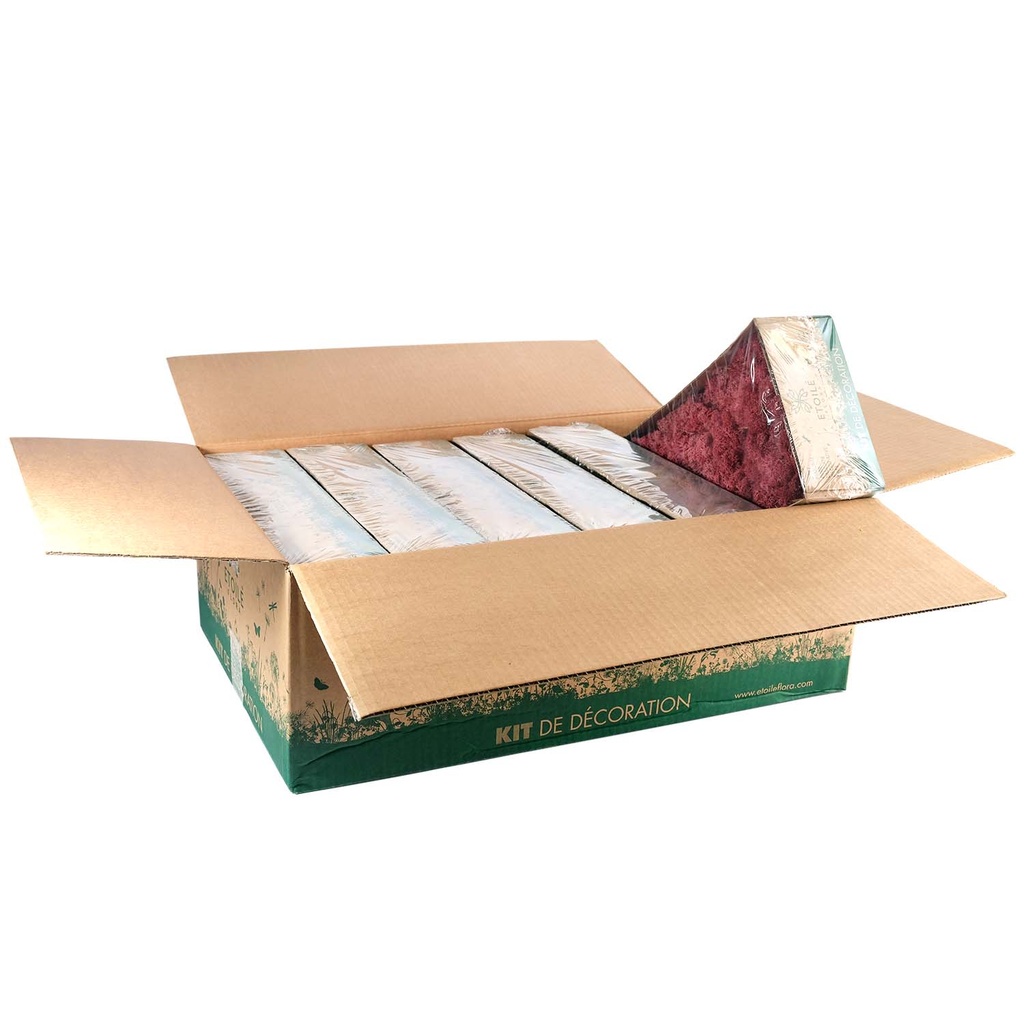 LIC/0563 Lichen stabilisée Bordeaux W-Box 0,5 kg