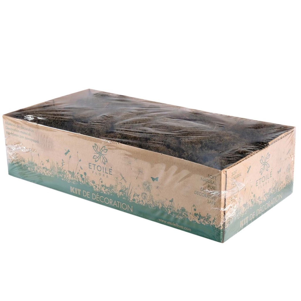 LIC/0566 Lichen stabilisée Menthe W-Box 0,5 kg