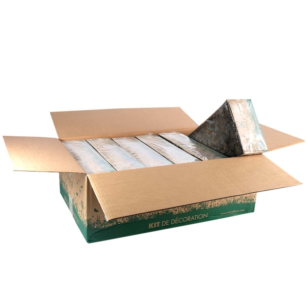 LIC/0566 Lichen stabilisée Menthe W-Box 0,5 kg