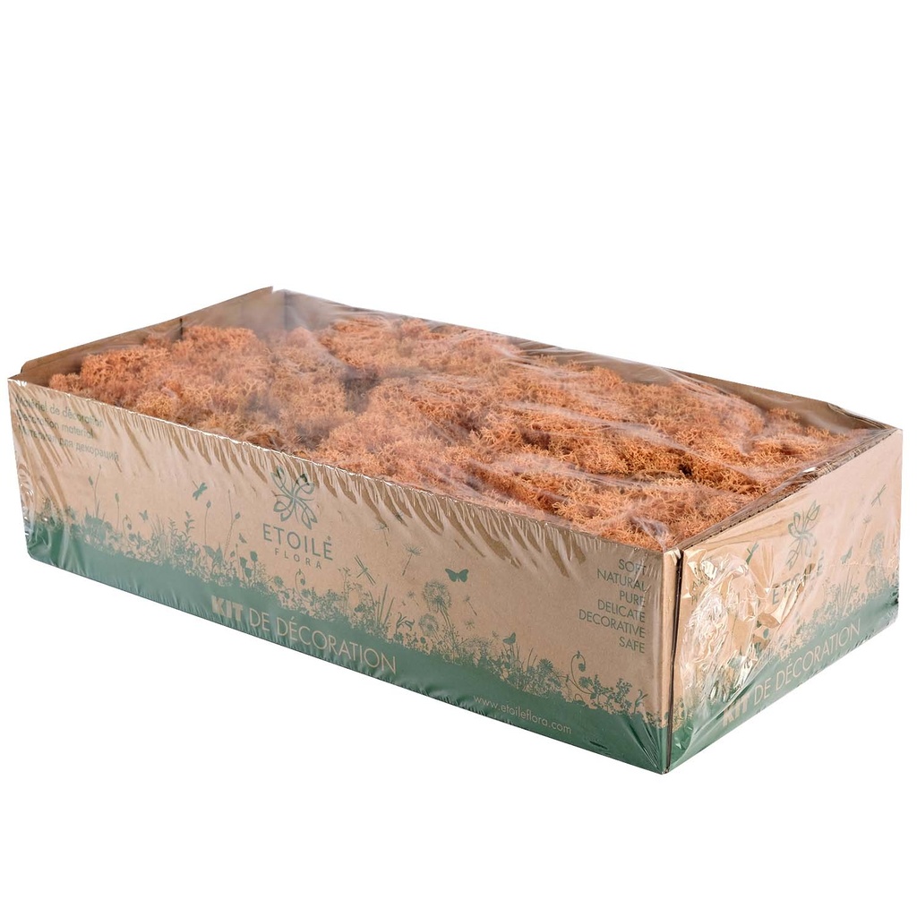 LIC/0568 Lichen stabilisée Pêche W-Box 0,5 kg