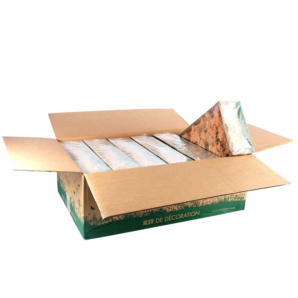 LIC/0568 Lichen stabilisée Pêche W-Box 0,5 kg