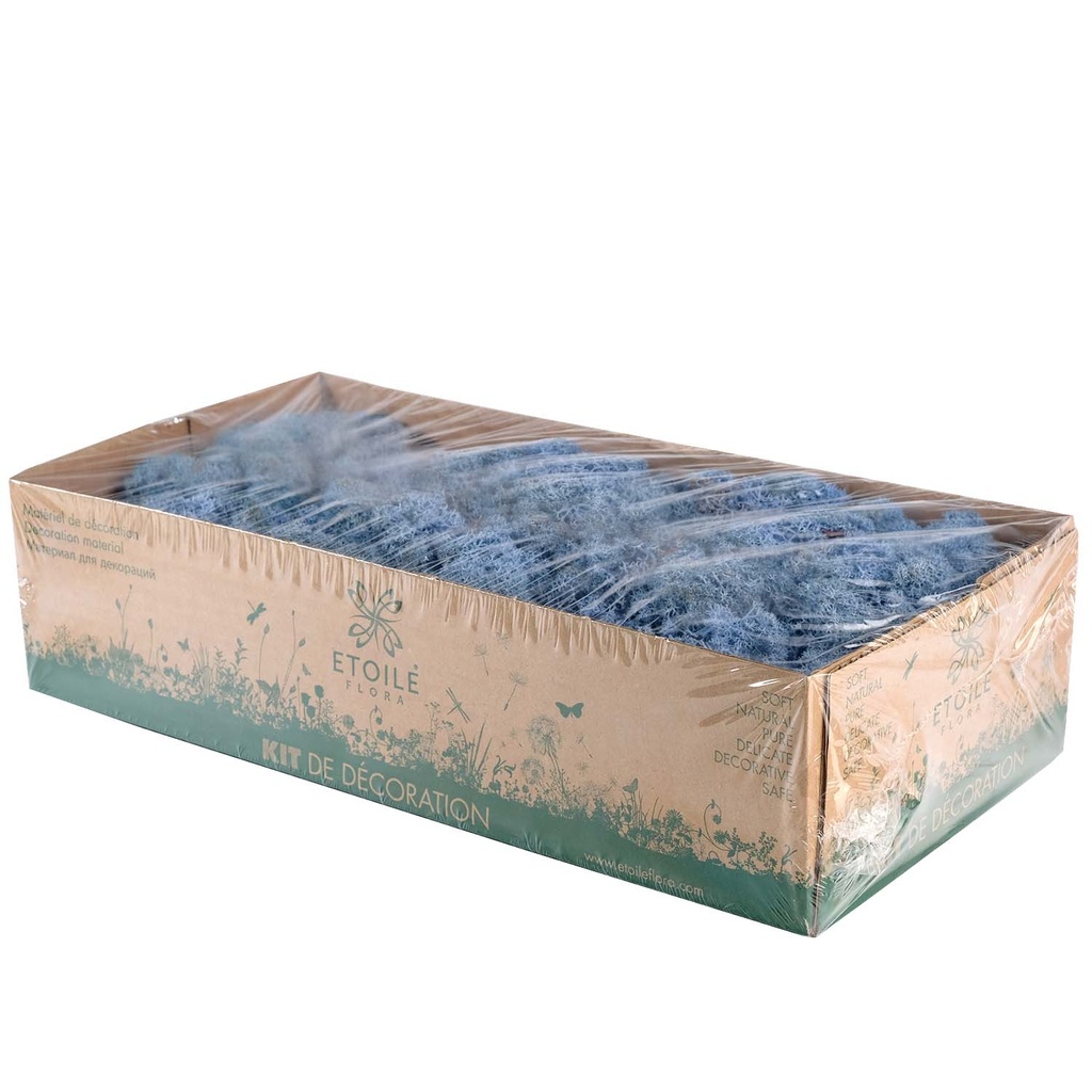 LIC/0585 Lichen stabilisée Lavande W-Box 0,5 kg