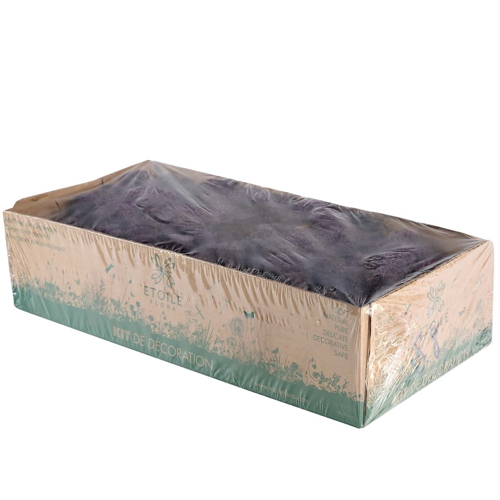 LIC/0588 Lichen stabilisée Aubergine W-Box 0,5 kg