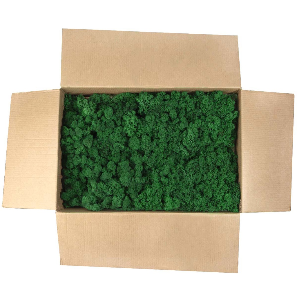 LIC/4078 Lichen stabilisée Vert d'Herbe Box 4 kg