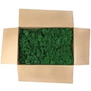 LIC/4078 Lichen stabilisée Vert d'Herbe Box 4 kg