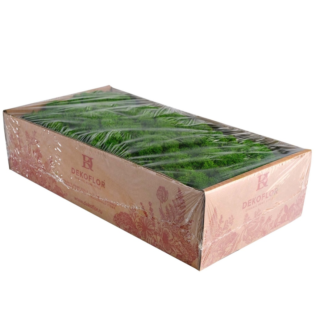 LIR/0540 Lichen stabilisée Vert Pomme W-Box 0,5 kg