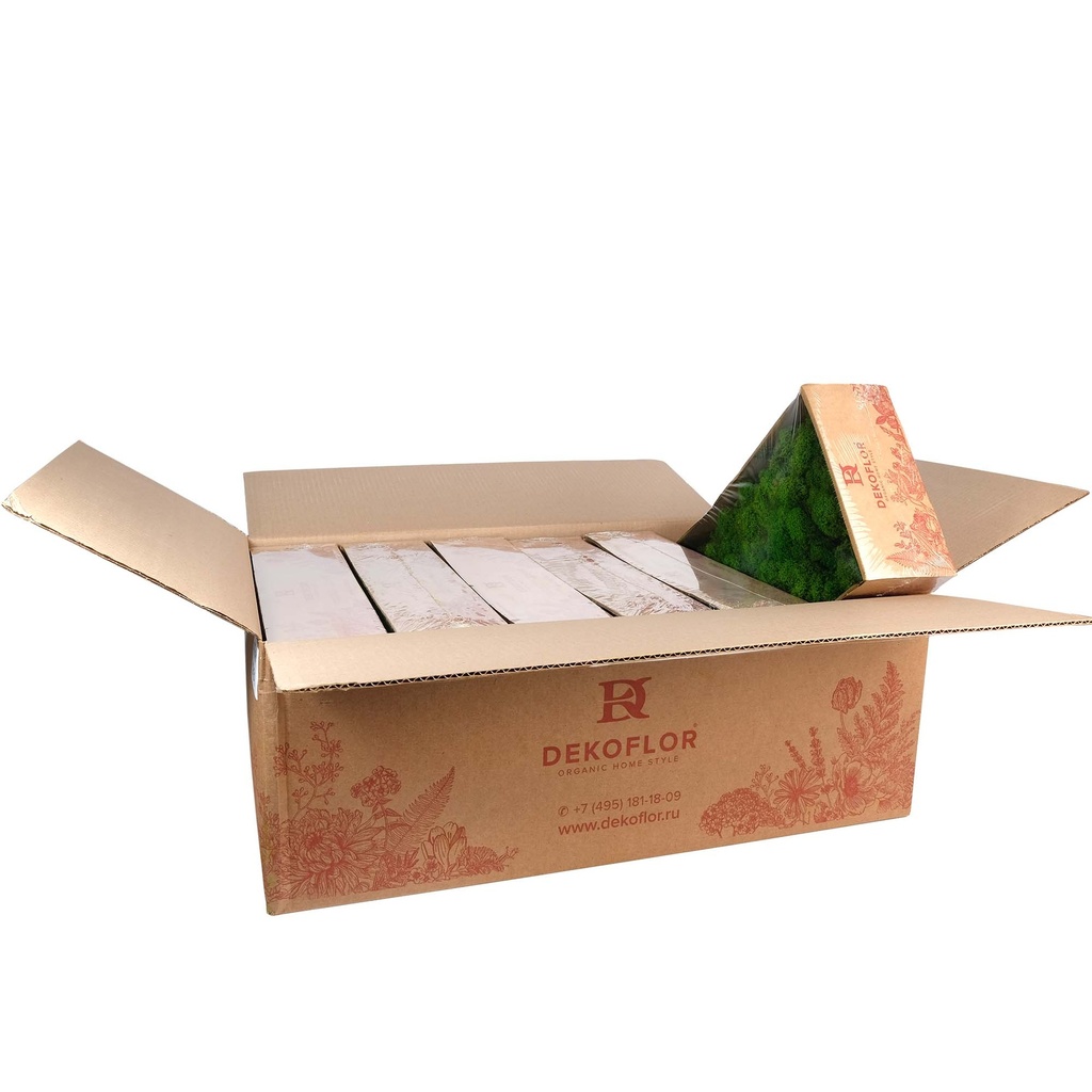 LIR/0540 Lichen stabilisée Vert Pomme W-Box 0,5 kg