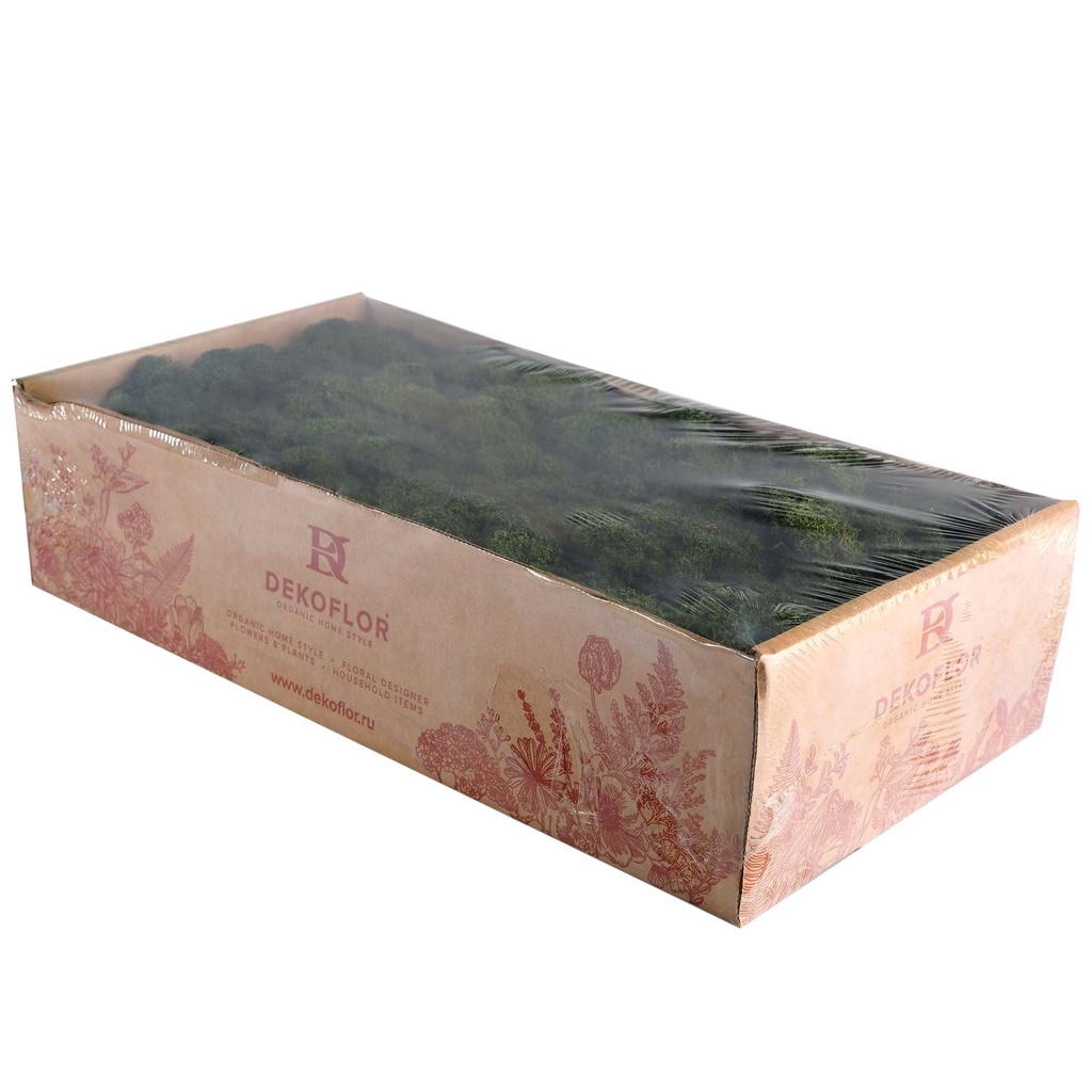 LIR/0554 Lichen stabilisée Vert Foncé W-Box 0,5 kg