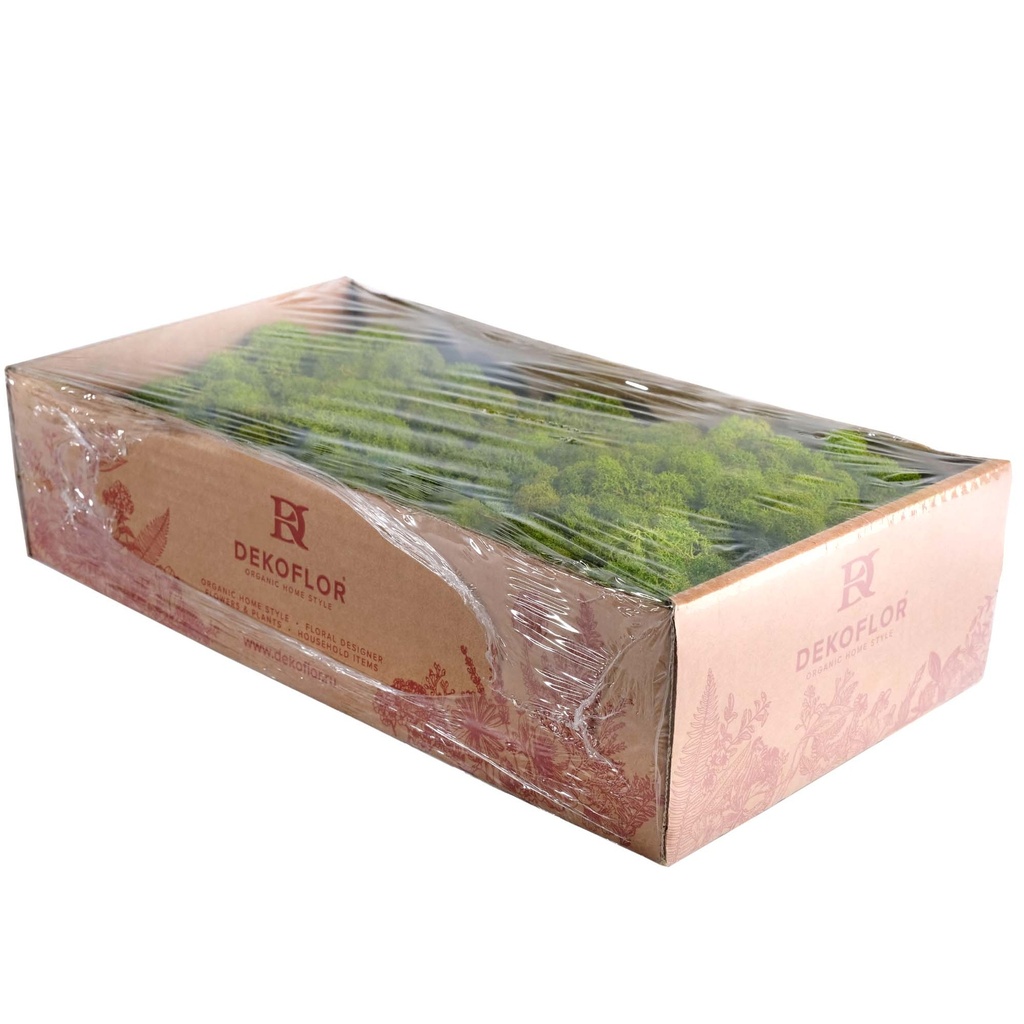 LIR/0555 Lichen stabilisée Vert Citron W-Box 0,5 kg