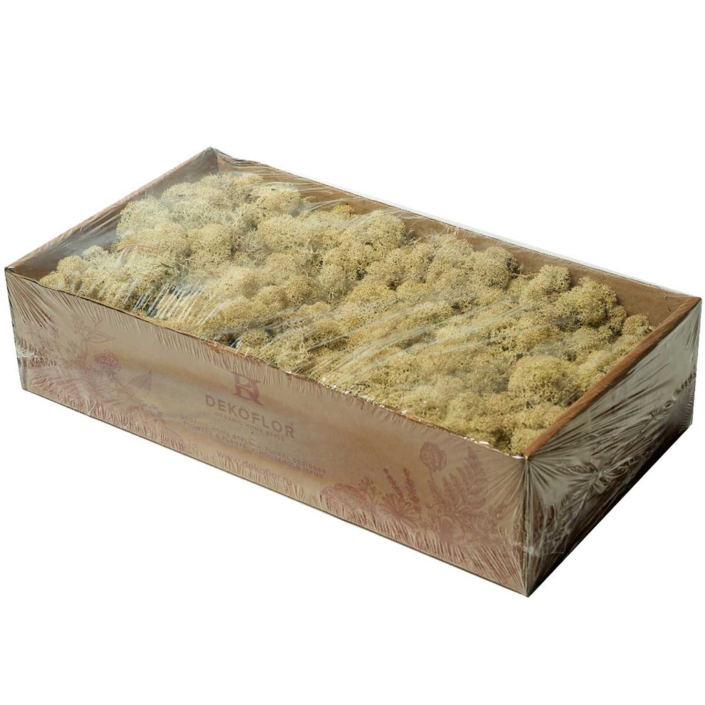 LIR/0556 Lichen stabilisée Nature W-Box 0,5 kg