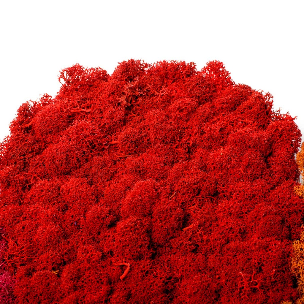 LIR/0557 Lichen stabilisée Rouge W-Box 0,5 kg