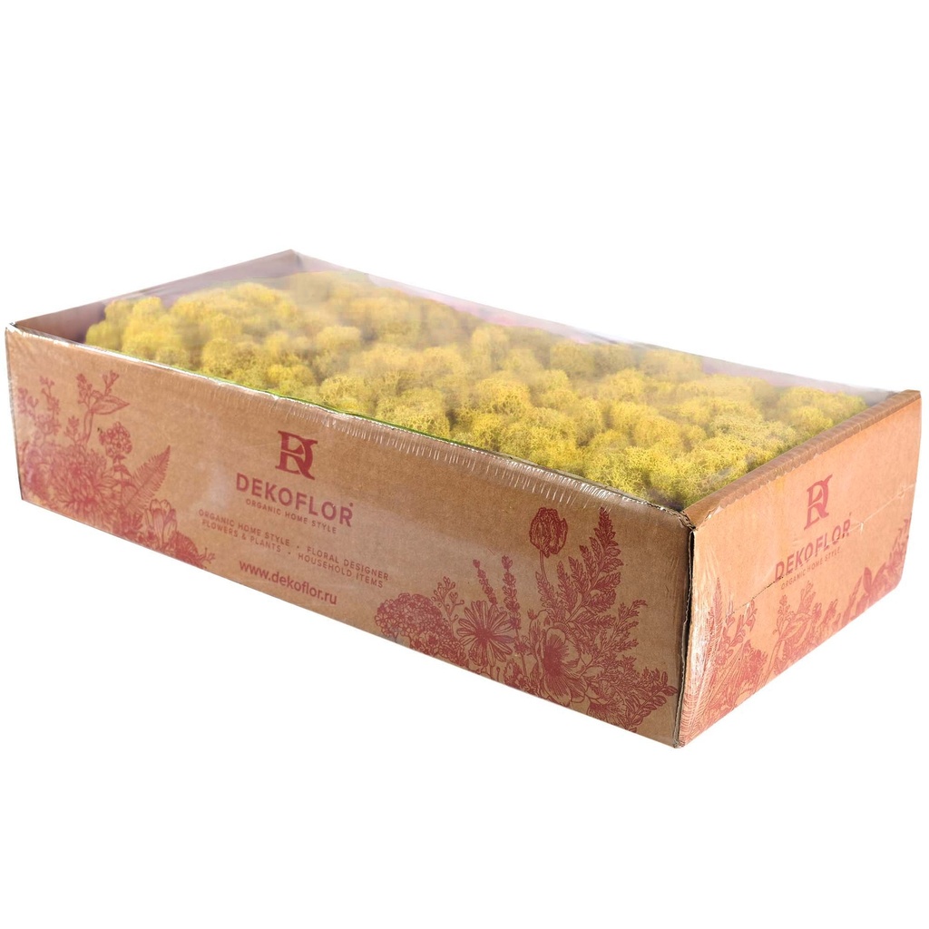 LIR/0560 Lichen stabilisée Jaune W-Box 0,5 kg