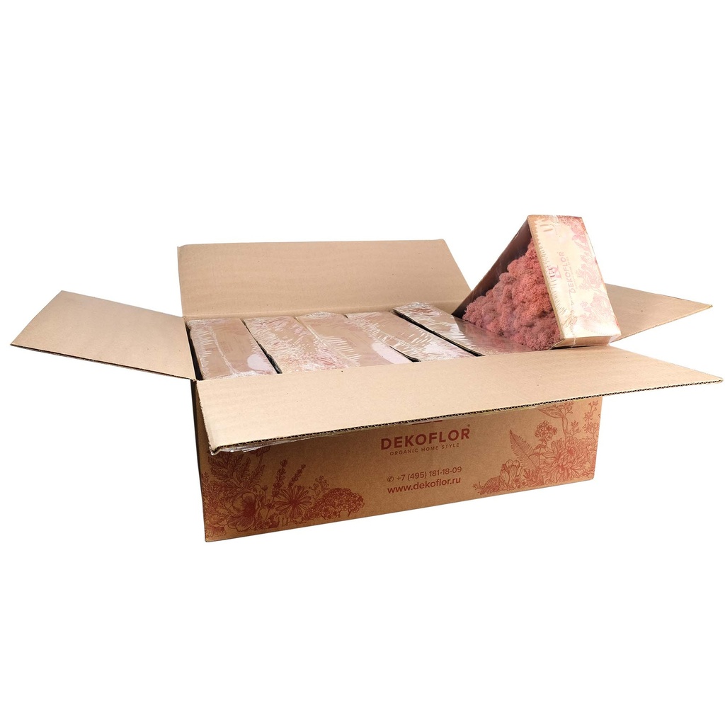 LIR/0562 Lichen stabilisée Rose W-Box 0,5 kg