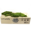 MOU/2250 Mousse Plate stabilisée Vert Carton en vrac 2,5 kgs