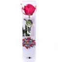 PRZ/2490 Rose Amorosa stabilisée Mini Rose