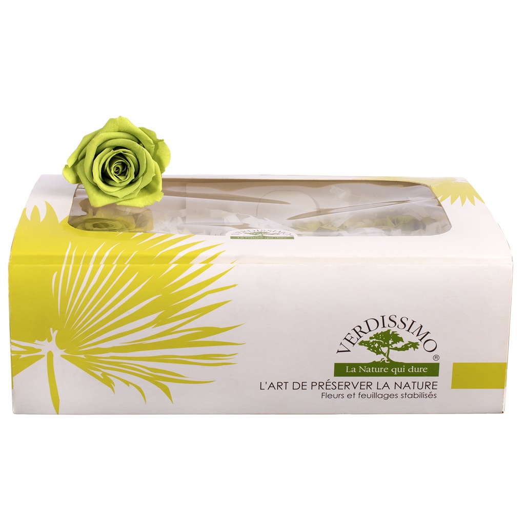 RSM/1451 Rose Heads Mini Vintage Pink 12 Ud,