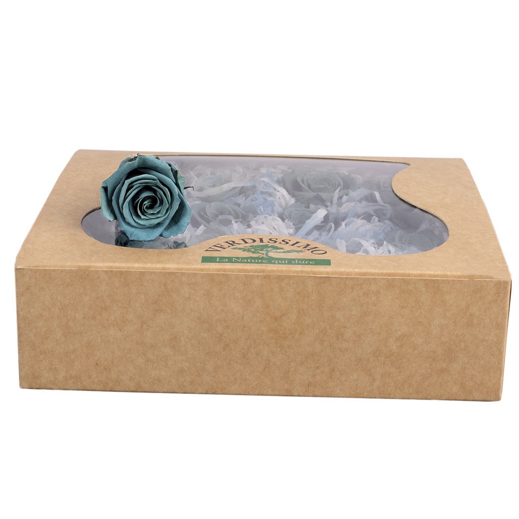 RSM/1630 Têtes de Roses Mini stabilisée Bleu Foncé W-Box 12 têtes