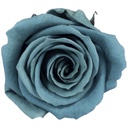 RSM/1630 Têtes de Roses Mini stabilisée Bleu Foncé W-Box 12 têtes