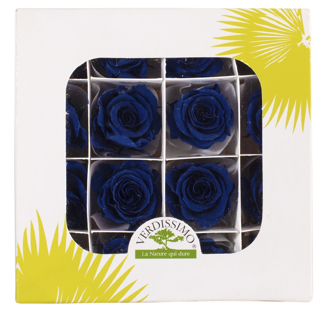 RSP/4630 Têtes de Roses Princesse stabilisée Bleu foncé W-Box 16 têtes