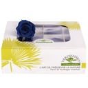 RSP/4630 Têtes de Roses Princesse stabilisée Bleu foncé W-Box 16 têtes