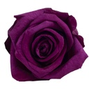 RST/0710 Têtes de Roses Standard stabilisée Violet Vrac 182 Têtes en Master-Box