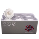 RST/2000 Têtes de Roses Standard stabilisée Blanc Boite de 6 têtes