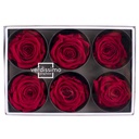 RST/2200 Têtes de Roses Standard stabilisée Rouge W-Box 6 têtes