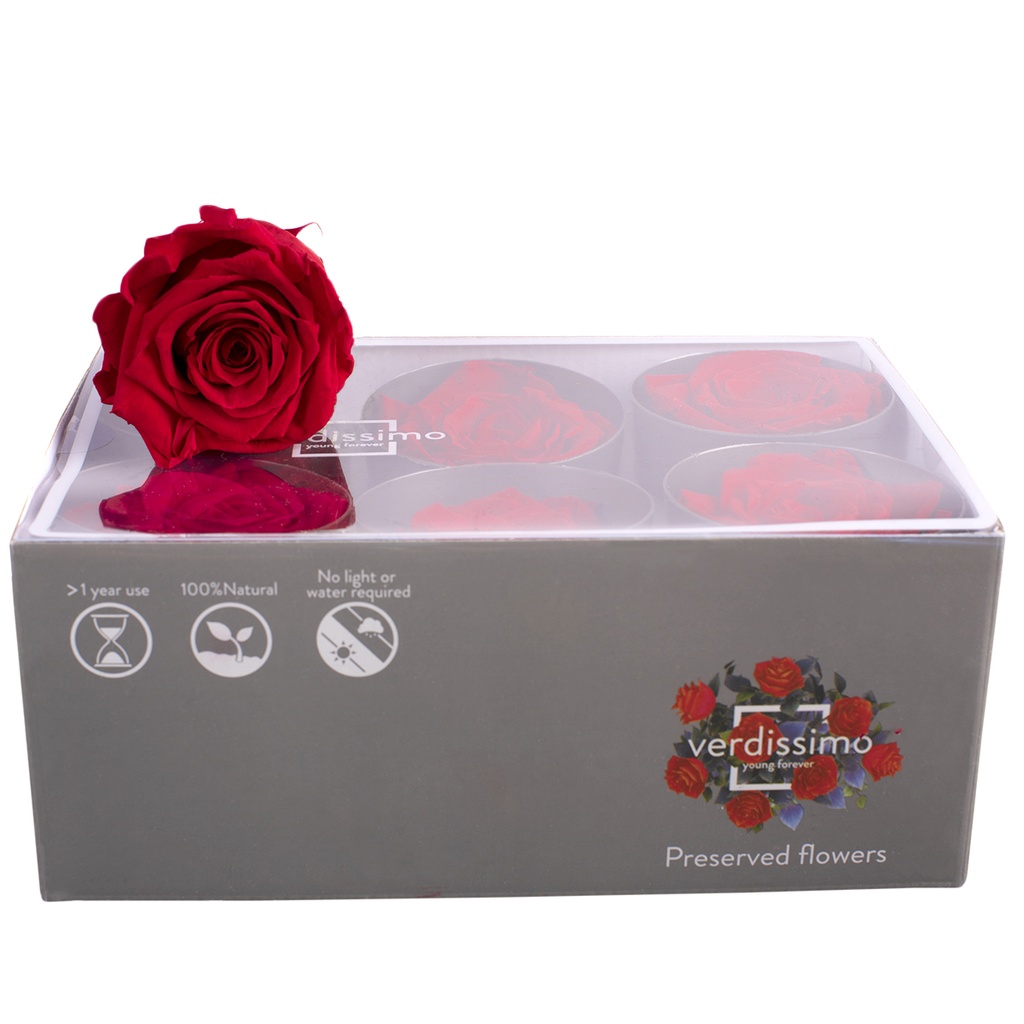RST/2200 Têtes de Roses Standard stabilisée Rouge W-Box 6 têtes