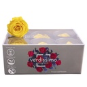 RST/2340 Têtes de Roses Standard stabilisée Jonquille Jaune Boite de 6 têtes