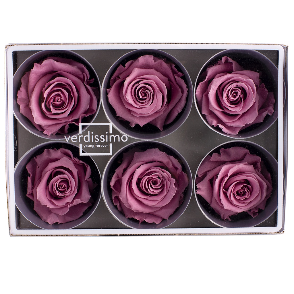 RST/2480 Têtes de Roses Standard stabilisée Cerise Boite de 6 têtes