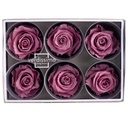 RST/2480 Têtes de Roses Standard stabilisée Cerise Boite de 6 têtes