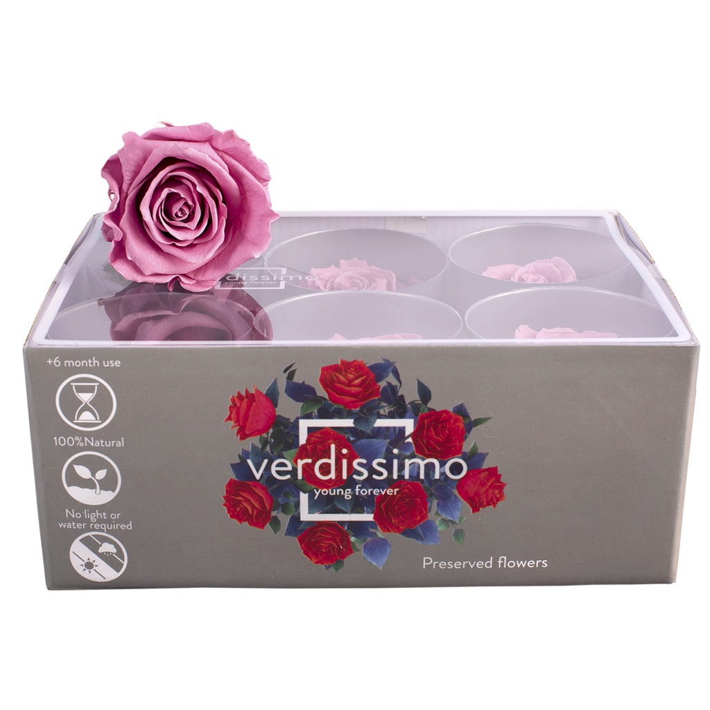 RST/2480 Têtes de Roses Standard stabilisée Cerise Boite de 6 têtes