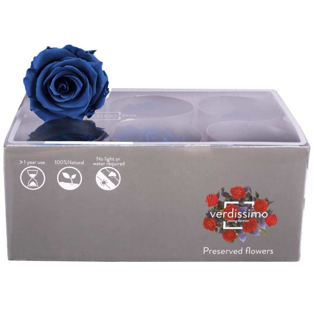 RST/2630 Têtes de Roses Standard stabilisée Bleu W-Box 6 têtes