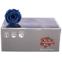 RST/2630 Têtes de Roses Standard stabilisée Bleu W-Box 6 têtes