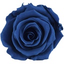 RST/2630 Têtes de Roses Standard stabilisée Bleu W-Box 6 têtes